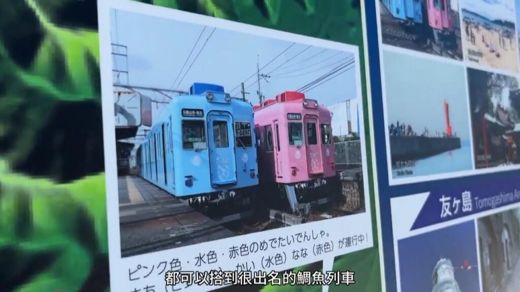【單車踩爆和歌山Vlog EP2】加太鯛魚列車、太平洋岸單車公路終點打卡 隱世食店嘆海釣魚丼 | 貓迷必訪﹗貴志可愛貓列車 | 紀之川單車路線介紹 | 單車搭飛機貼士 #日本自遊行攻略