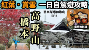 【單車踩爆和歌山Vlog EP3】高野山賞雪 橋本睇紅葉 一日自駕遊攻略 看盡秋冬景色 | 有田川單車路線 | 單車旅遊貼士